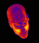 Evil Knivels Avatar